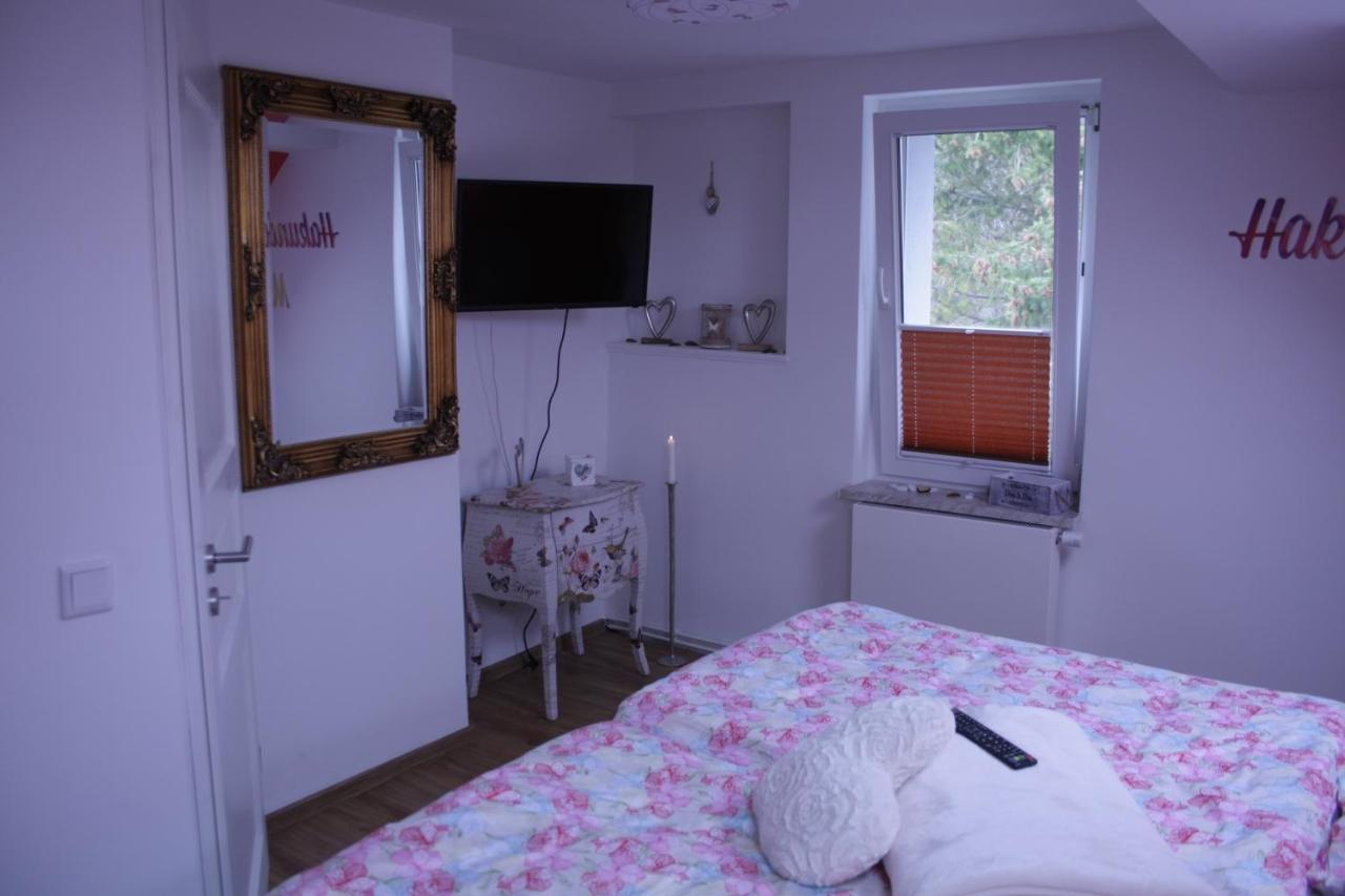 Apartment Am Geiseltalsee Mit Sauna